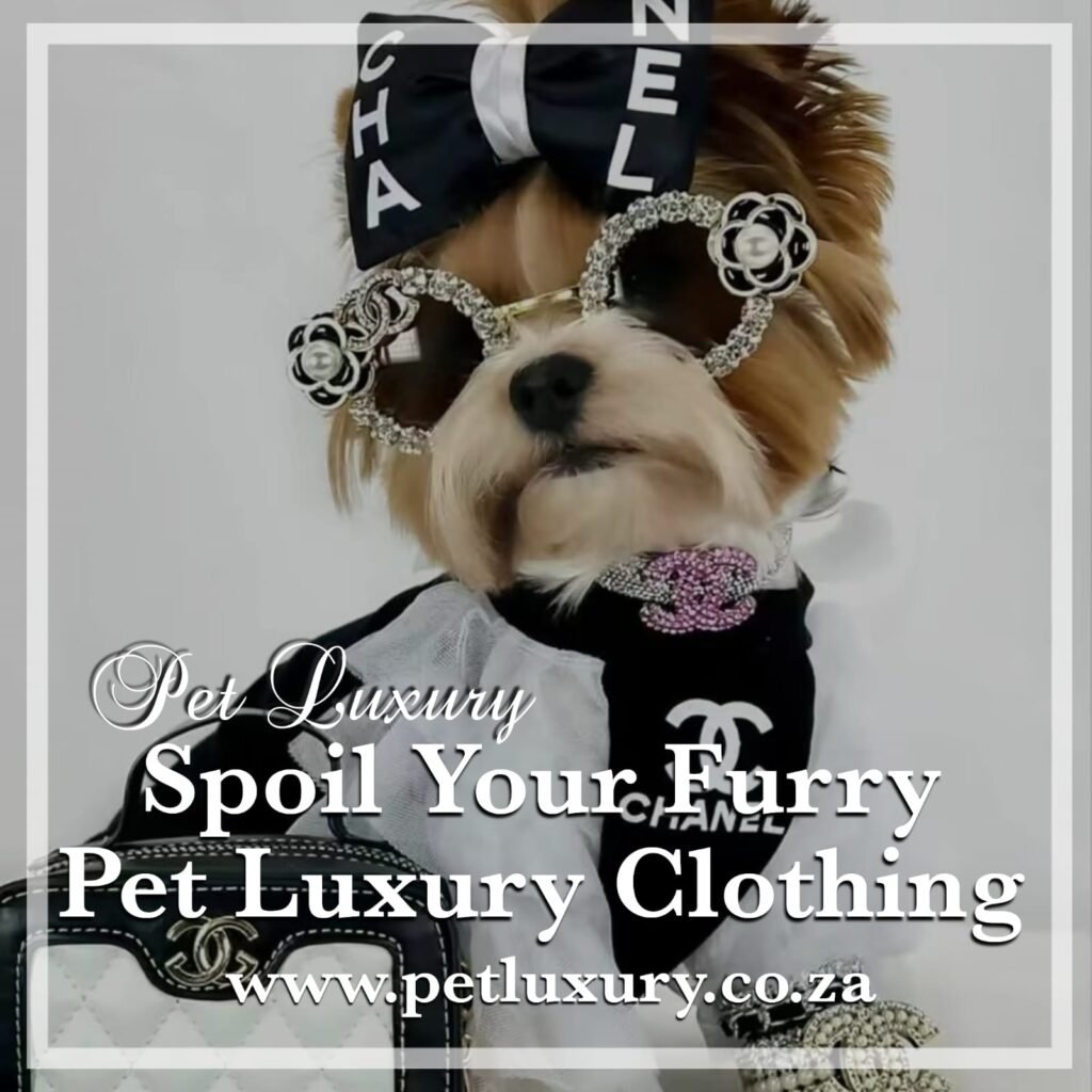 Pamper Your Pets: The Ultimate Guide to Buying Luxury Clothing for Your Furry Friends